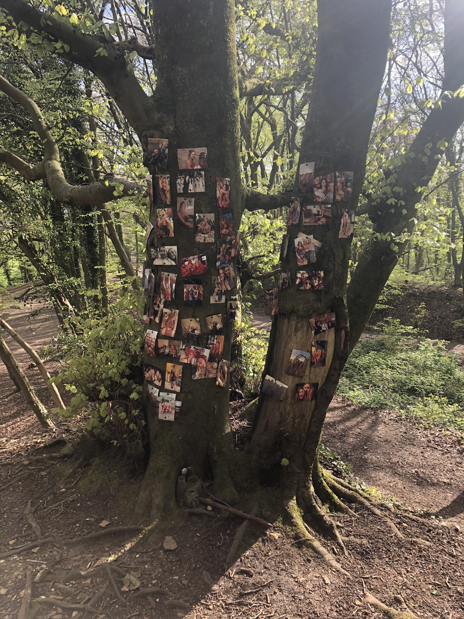 Standish Wood (Disabled Woman and Witch Content!)