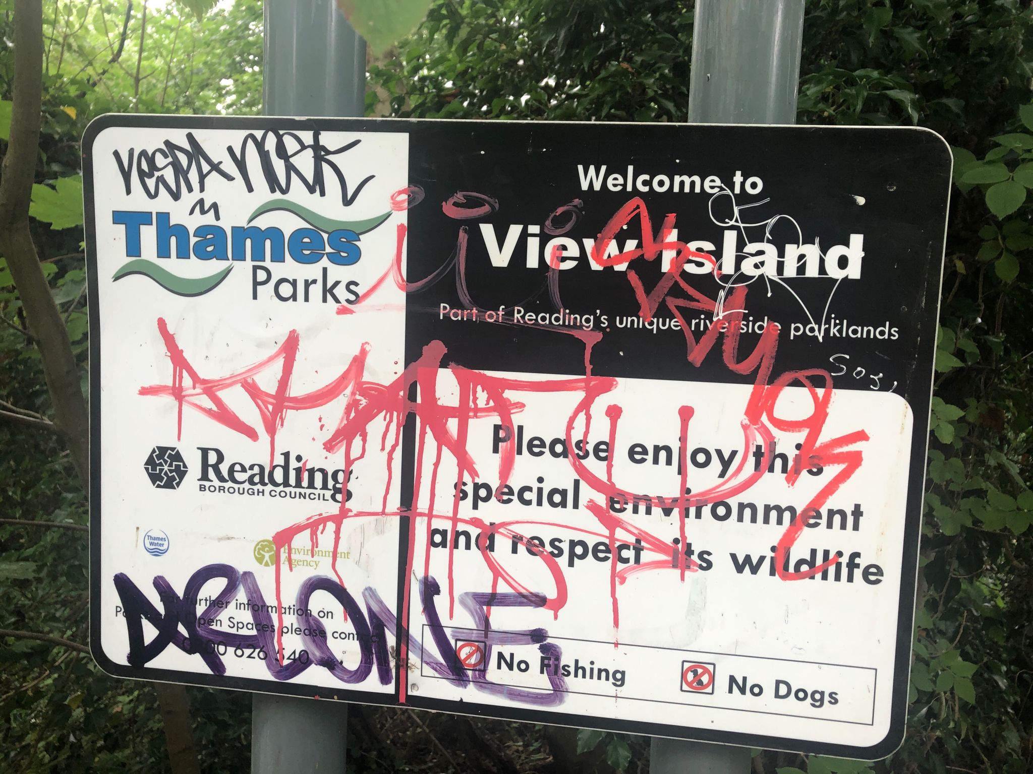 What a crap afternoon!